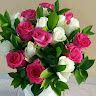Vipul