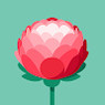 Shakir