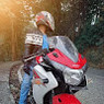 Ankur