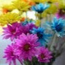 Gayathri