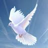 Arul