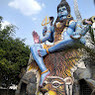 Nitesh