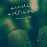 Rafeeq