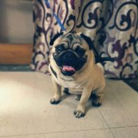 Our Facebook Romance! 💗 - 4