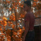 Ajay