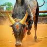 Durai
