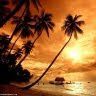 Anmol