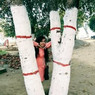 Swati