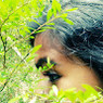 Haritha
