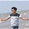 Anil