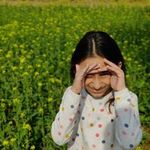 Pallavi