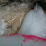 Rohit