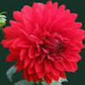 Sunanda
