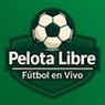 Pelota