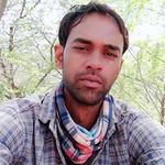 Jay