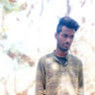 Anil