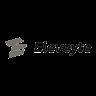 Eleveyte
