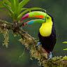 Rakesh