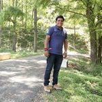 Bipin