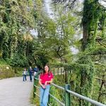 Yamini