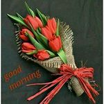 Ankit