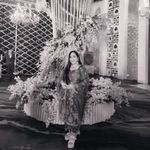Vimmi
