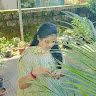Nandana