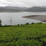 ARUNPANDIAN