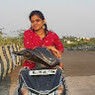 Krithi