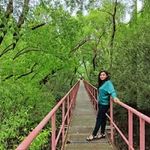Dipannita