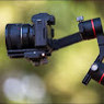 MS Photographer