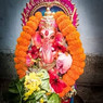 Shibasish