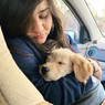 Anubha