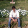 Anil