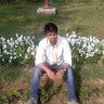 Anil