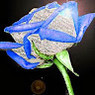 Yashoda