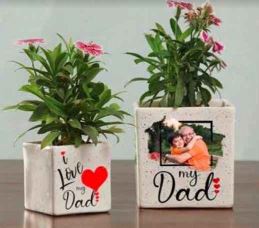 My Dad loves gardening and plants and its his birthday next week! - 1