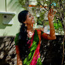 Kavya