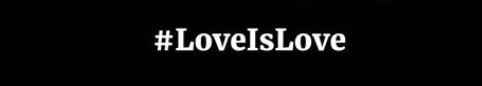 Did you guys check out wedding wire's new #loveislove campaign? - 1