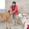 Pushkar