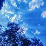 Nishant