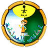 شركة