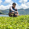 Karthik