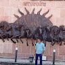 Dheeraj