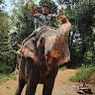 Abhay