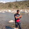 Hari