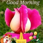 Deepshikha