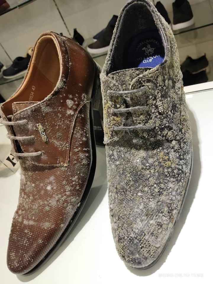 This broke my heart!! Leather shoes, bags, clothes caught fungus locked in the shops - 1
