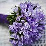 Prasanna