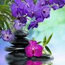Rinkal